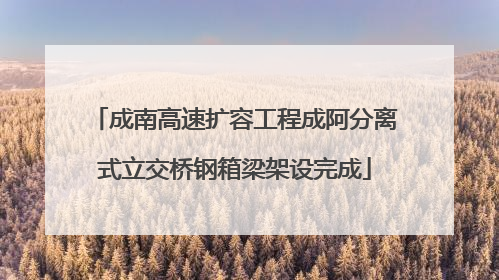 成南高速扩容工程成阿分离式立交桥钢箱梁架设完成