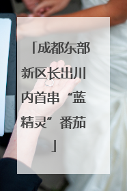 成都东部新区长出川内首串“蓝精灵”番茄