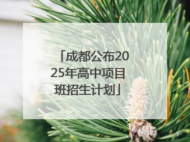 成都公布2025年高中项目班招生计划