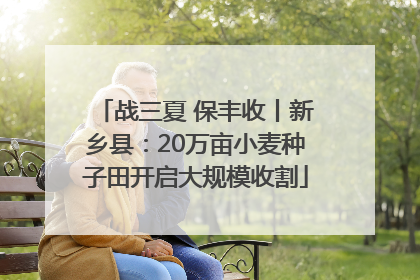 战三夏 保丰收丨新乡县：20万亩小麦种子田开启大规模收割