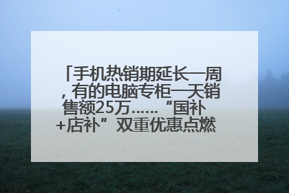 手机热销期延长一周，有的电脑专柜一天销售额25万……“国补+店补”双重优惠点燃德州“考后经济”