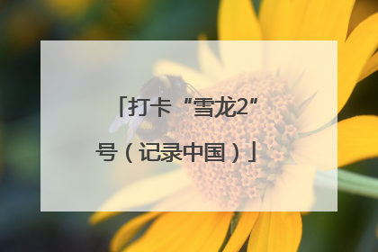 打卡“雪龙2”号（记录中国）