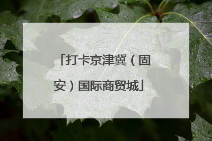 打卡京津冀（固安）国际商贸城