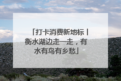 打卡消费新地标丨衡水湖边走一走，有水有鸟有乡愁