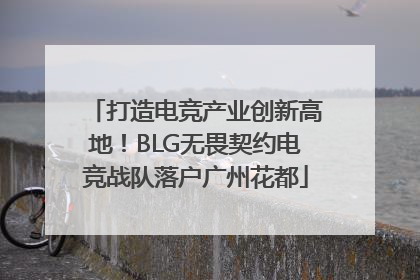打造电竞产业创新高地！BLG无畏契约电竞战队落户广州花都