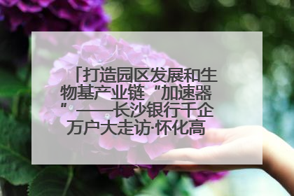 打造园区发展和生物基产业链“加速器”——长沙银行千企万户大走访·怀化高新区、生物基产业链专场活动举行