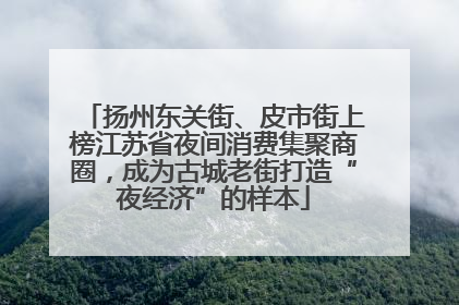 扬州东关街、皮市街上榜江苏省夜间消费集聚商圈，成为古城老街打造“夜经济”的样本