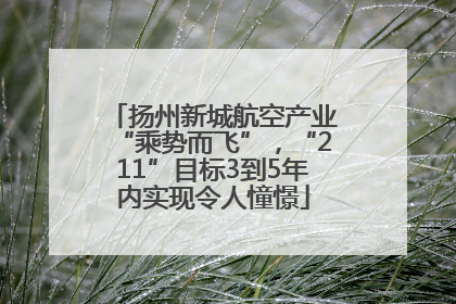 扬州新城航空产业“乘势而飞”，“211”目标3到5年内实现令人憧憬