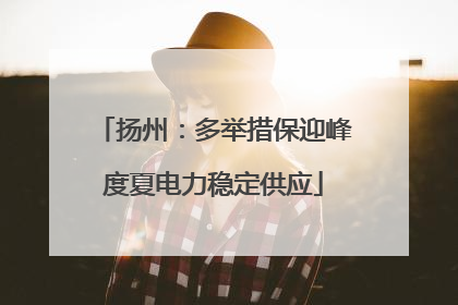 扬州：多举措保迎峰度夏电力稳定供应