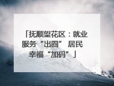 抚顺望花区：就业服务“出圈” 居民幸福“加码”