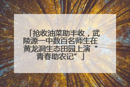 抢收油菜助丰收，武陵源一中数百名师生在黄龙洞生态田园上演“青春助农记”