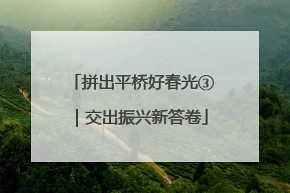 拼出平桥好春光③｜交出振兴新答卷