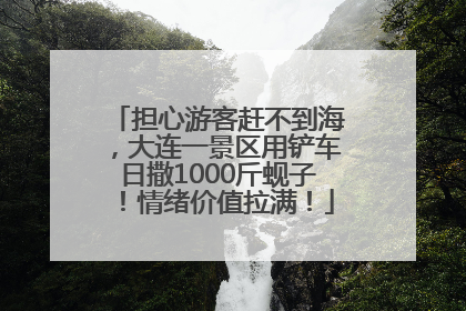担心游客赶不到海，大连一景区用铲车日撒1000斤蚬子！情绪价值拉满！