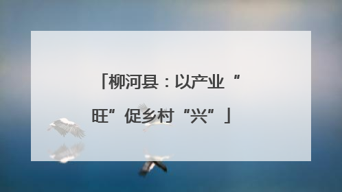 柳河县：以产业“旺”促乡村“兴”