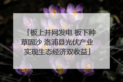 板上并网发电 板下种草固沙 洛浦县光伏产业实现生态经济双收益