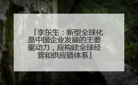 李东生：新型全球化是中国企业发展的主要驱动力，应构建全球经营和供应链体系