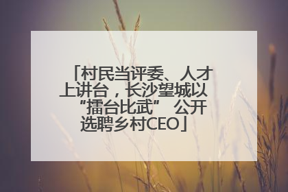 村民当评委、人才上讲台，长沙望城以“擂台比武” 公开选聘乡村CEO