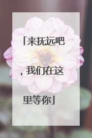 来抚远吧，我们在这里等你