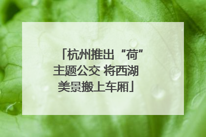 杭州推出“荷”主题公交 将西湖美景搬上车厢