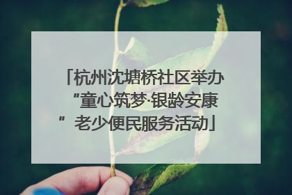 杭州沈塘桥社区举办“童心筑梦·银龄安康”老少便民服务活动
