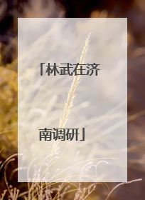 林武在济南调研