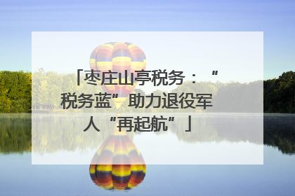 枣庄山亭税务：“税务蓝”助力退役军人“再起航”