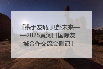 携手友城 共赴未来——2025黄河口国际友城合作交流会侧记