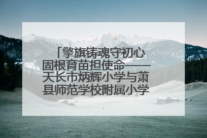擎旗铸魂守初心 固根育苗担使命——天长市炳辉小学与萧县师范学校附属小学结对共建活动纪实