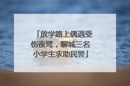 放学路上偶遇受伤夜鹭，聊城三名小学生求助民警