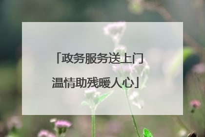 政务服务送上门 温情助残暖人心