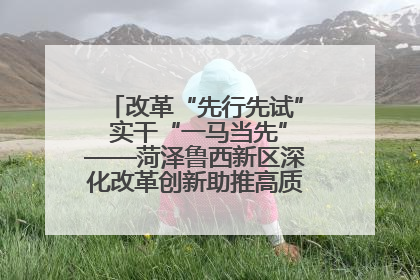 改革“先行先试” 实干“一马当先”——菏泽鲁西新区深化改革创新助推高质量发展纪实