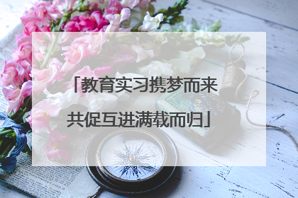 教育实习携梦而来 共促互进满载而归