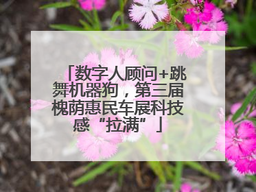 数字人顾问+跳舞机器狗，第三届槐荫惠民车展科技感“拉满”