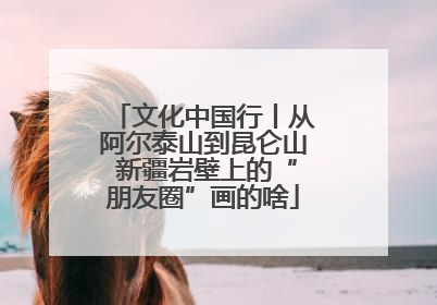 文化中国行丨从阿尔泰山到昆仑山 新疆岩壁上的“朋友圈”画的啥