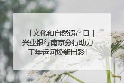 文化和自然遗产日｜兴业银行南京分行助力千年运河焕新出彩