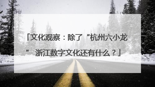 文化观察：除了“杭州六小龙” 浙江数字文化还有什么？