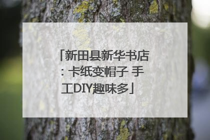 新田县新华书店：卡纸变帽子 手工DIY趣味多