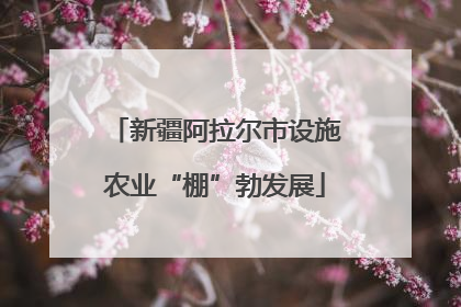 新疆阿拉尔市设施农业“棚”勃发展