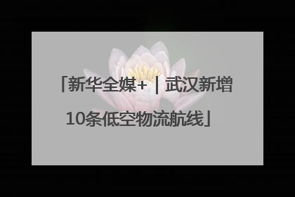 新华全媒+｜武汉新增10条低空物流航线