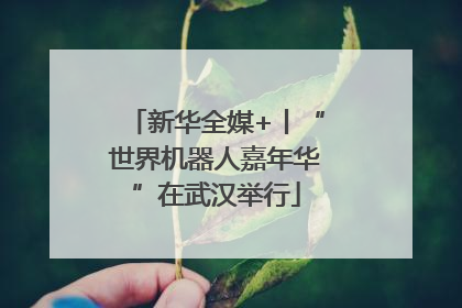 新华全媒+丨“世界机器人嘉年华”在武汉举行