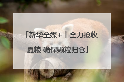 新华全媒+丨全力抢收夏粮 确保颗粒归仓