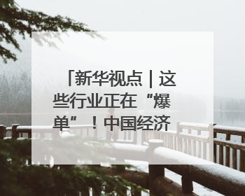 新华视点｜这些行业正在“爆单”！中国经济活力密码