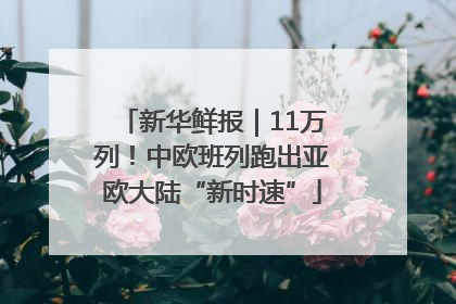 新华鲜报｜11万列！中欧班列跑出亚欧大陆“新时速”