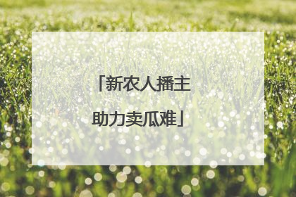 新农人播主 助力卖瓜难
