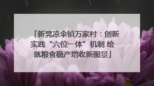新晃凉伞镇万家村：创新实践“六位一体”机制 绘就粮食稳产增收新图景