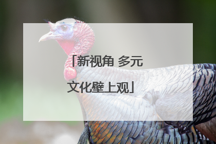 新视角 多元文化壁上观