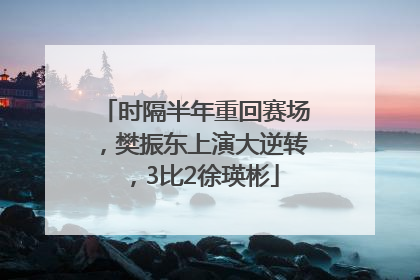 时隔半年重回赛场，樊振东上演大逆转，3比2徐瑛彬