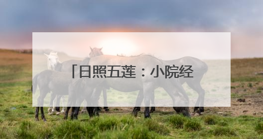日照五莲：小院经济绘出大美画卷