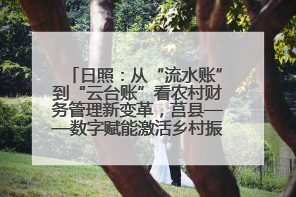 日照：从“流水账”到“云台账”看农村财务管理新变革，莒县——数字赋能激活乡村振兴“一池春水”