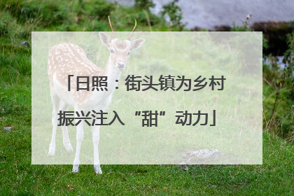 日照：街头镇为乡村振兴注入“甜”动力